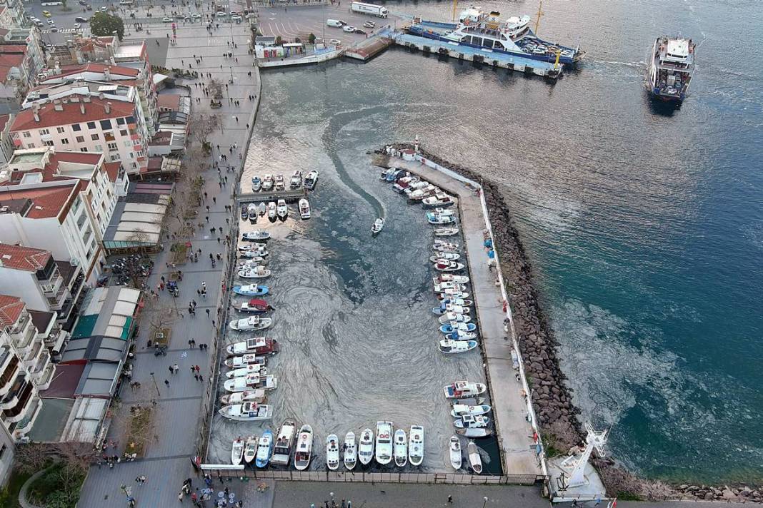 Müsilajla mücadele etmeleri için o bölgeye öbek öbek yerleştiriliyor! Bakanlık, sanayi, üniversite, TÜBİTAK işbirliği 4